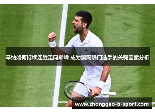 辛纳如何持续连胜走向巅峰 成为澳网热门选手的关键因素分析